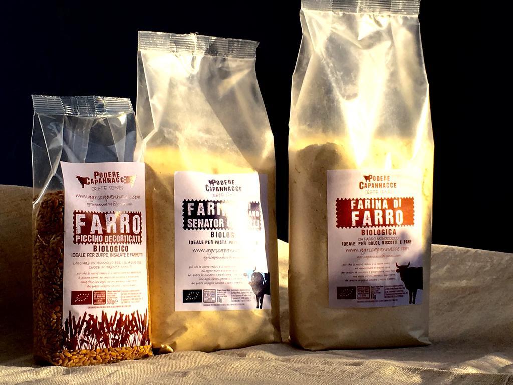 Capannacce Organic And Horse Farm Βίλα Rapolano Terme Εξωτερικό φωτογραφία
