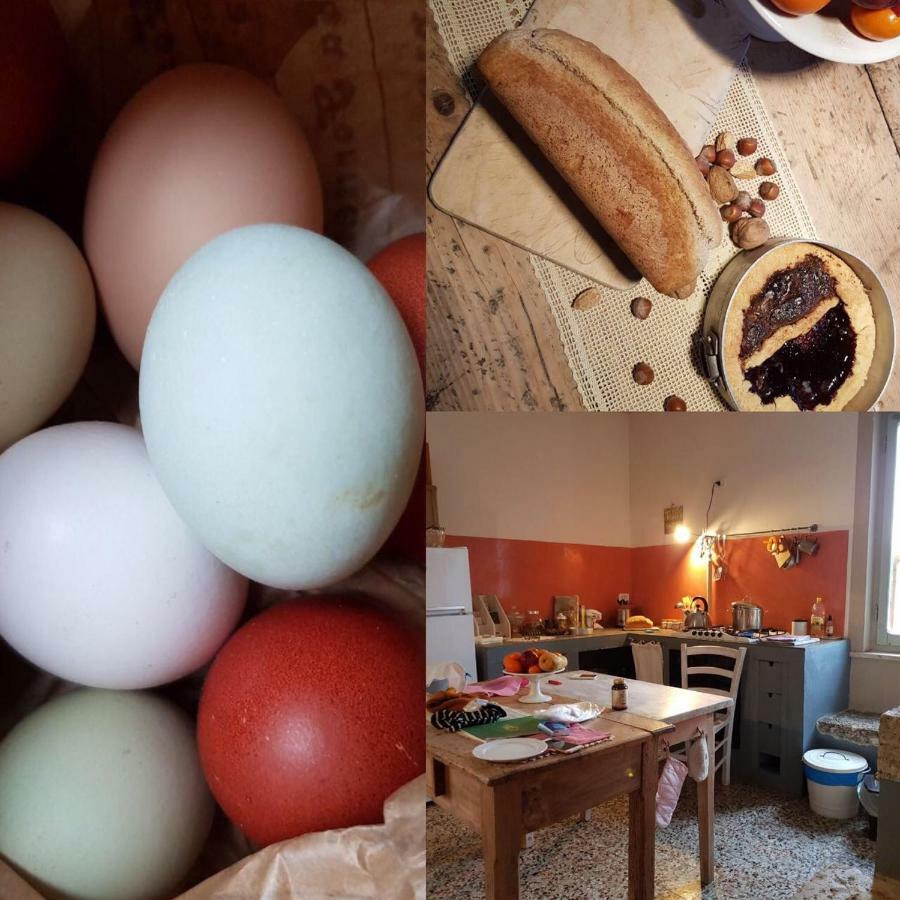 Capannacce Organic And Horse Farm Βίλα Rapolano Terme Εξωτερικό φωτογραφία